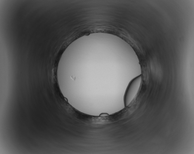 X0000098050378200803280735
