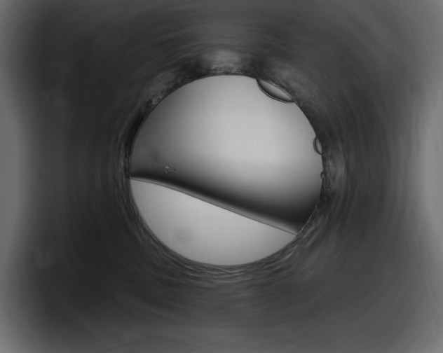 X0000098050379200803280735