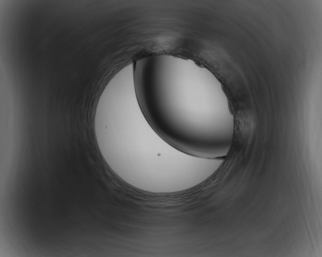 X0000098050380200803280735