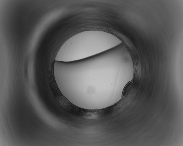 X0000098050381200803280735
