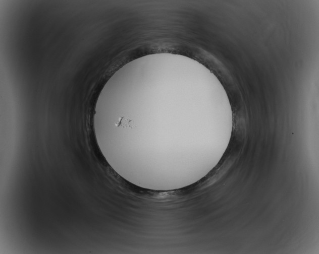 X0000098050382200803280735