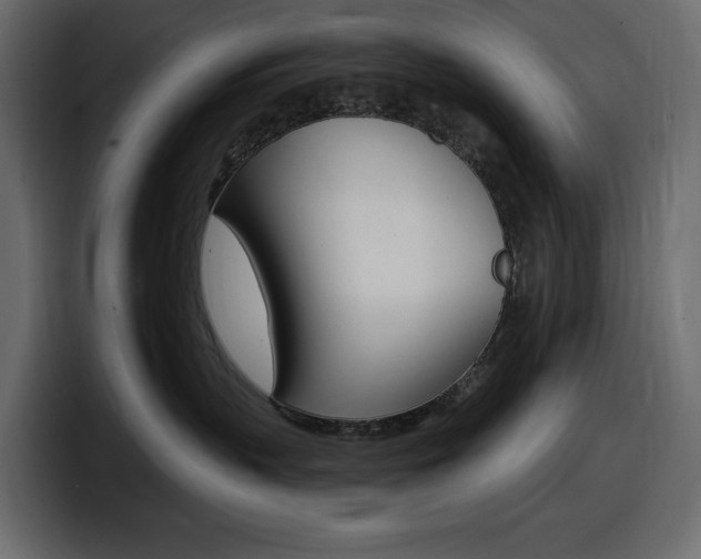 X0000098050383200803280735