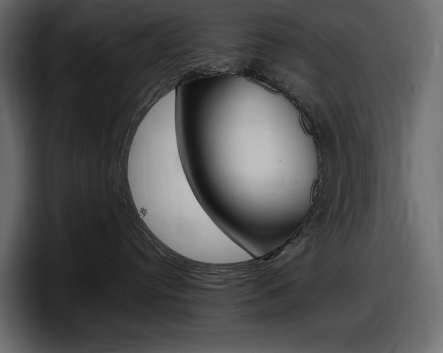 X0000098050384200803280735