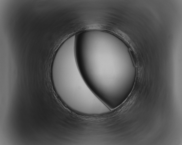 X0000098050385200803280734