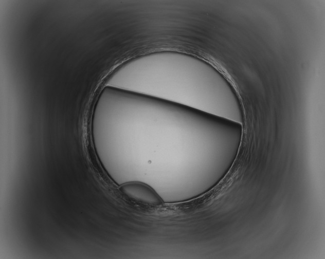 X0000098050386200803280734
