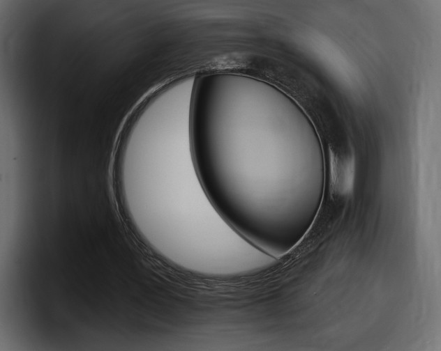 X0000098050387200803280734