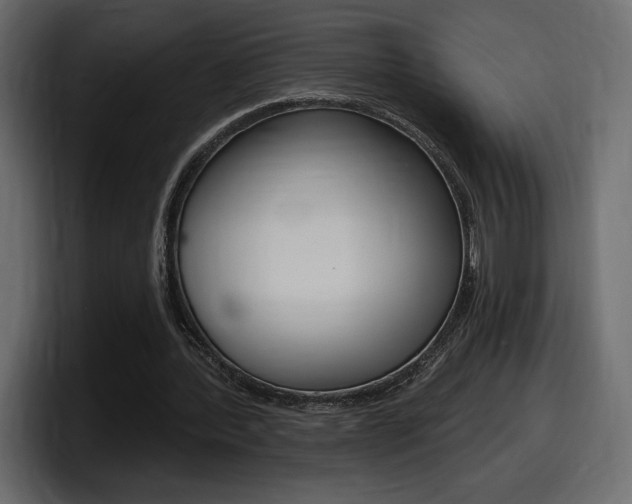 X0000098050388200803280734