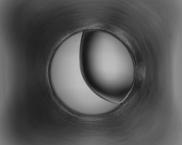 X0000098050389200803280734