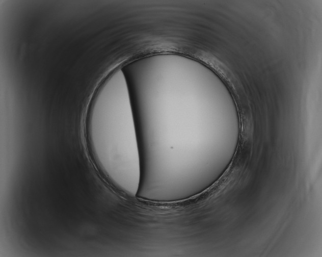 X0000098050390200803280734
