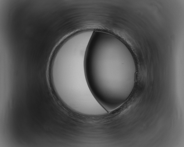 X0000098050391200803280734