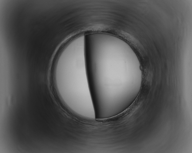 X0000098050392200803280734