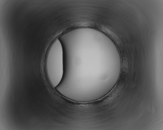 X0000098050394200803280734