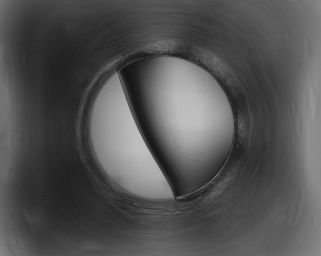 X0000098050396200803280734