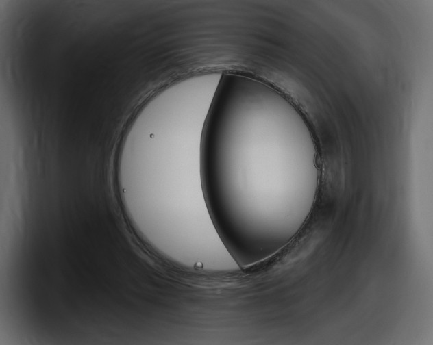 X0000098050397200803280734