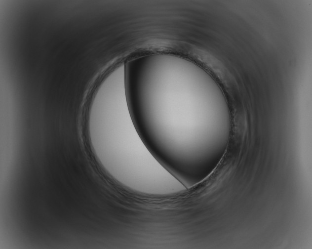 X0000098050399200803280734