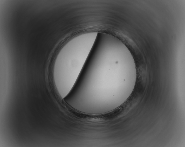 X0000098050400200803280734