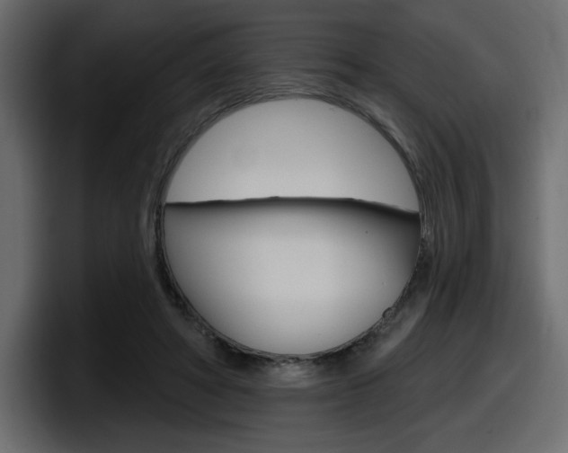 X0000098050402200803280734