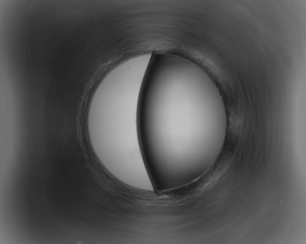 X0000098050403200803280734