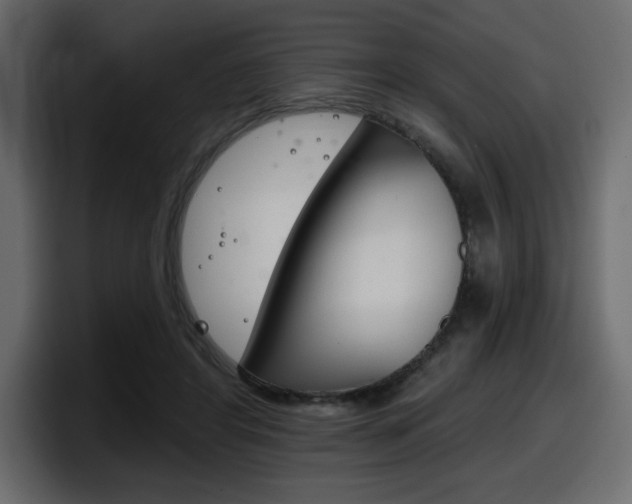 X0000098050404200803280734