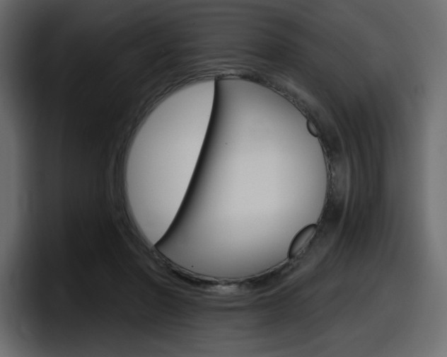 X0000098050406200803280734