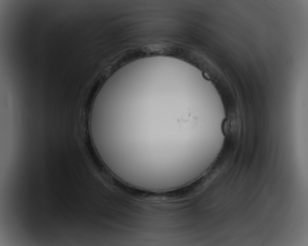 X0000098050408200803280734