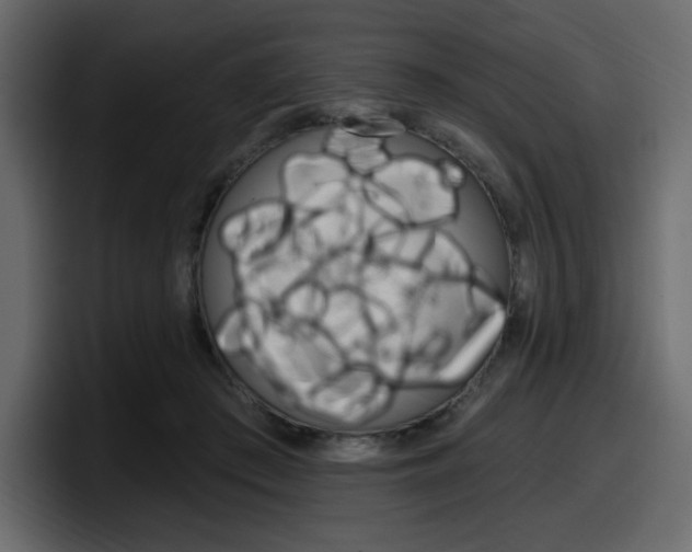 X0000098050409200803280734