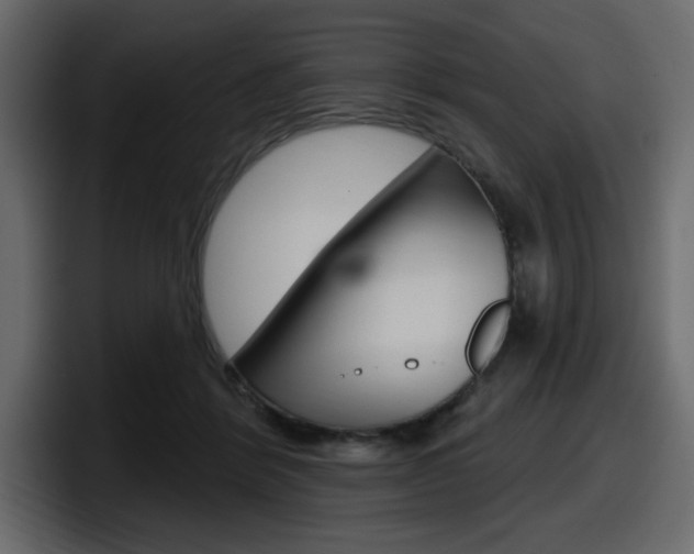 X0000098050412200803280734