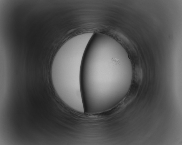 X0000098050413200803280734