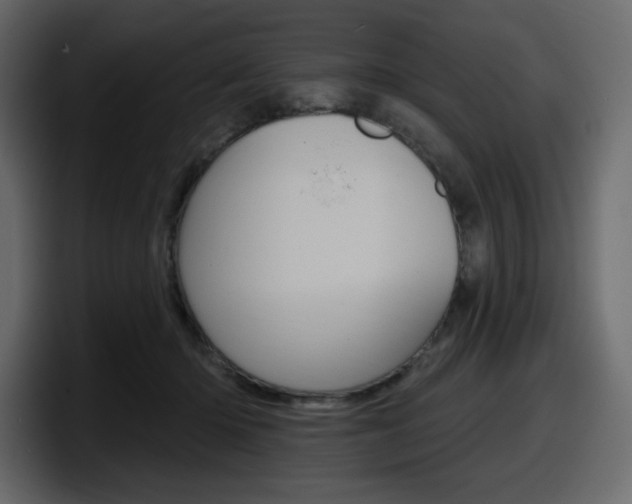 X0000098050414200803280734