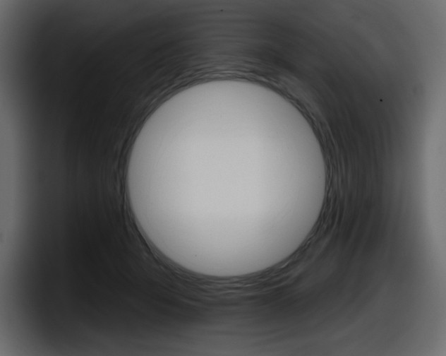 X0000098050415200803280734