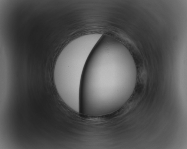 X0000098050417200803280734