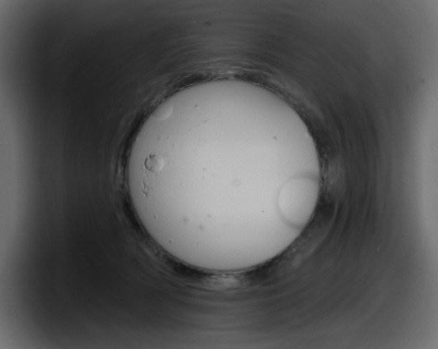 X0000098050418200803280734