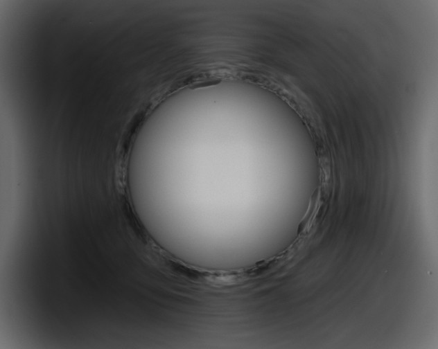 X0000098050419200803280734