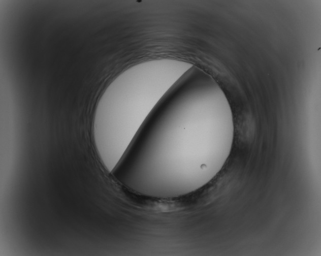 X0000098050420200803280734