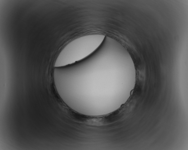 X0000098050422200803280734
