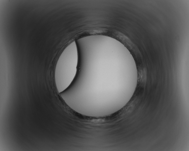 X0000098050426200803280734