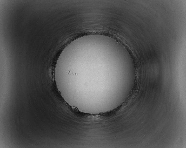 X0000098050428200803280734