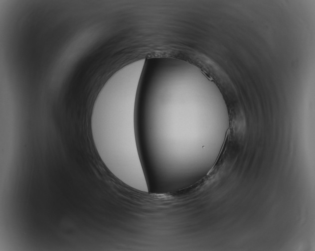 X0000098050429200803280734