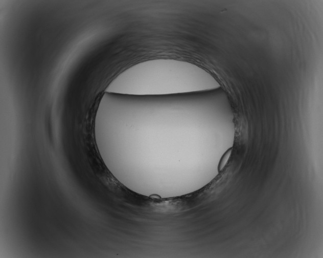 X0000098050430200803280734