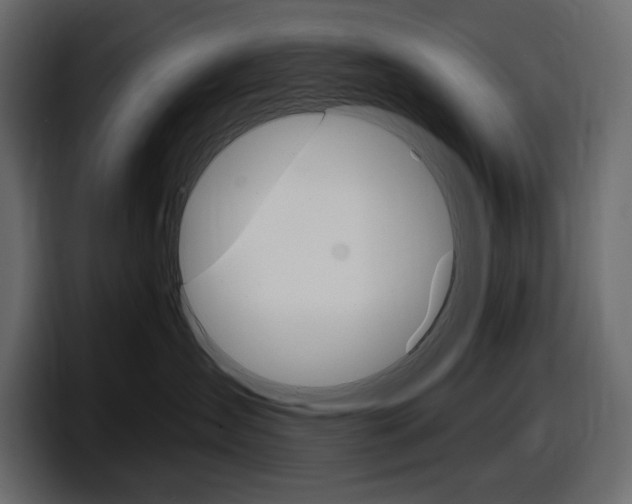 X0000098050431200803280734