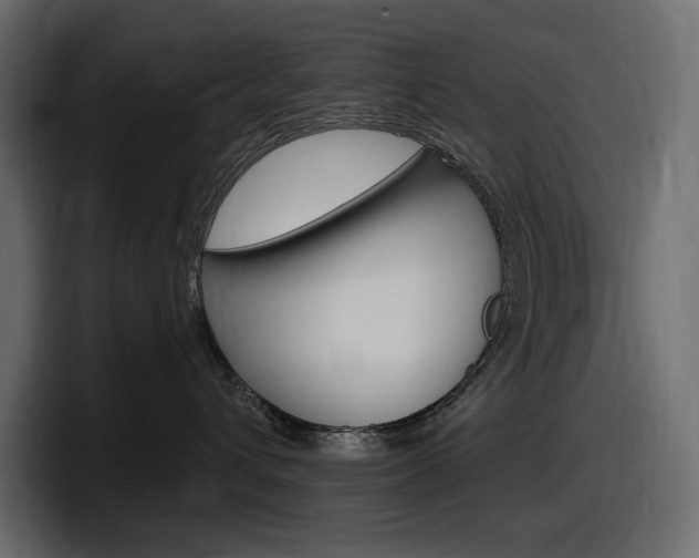 X0000098050432200803280734