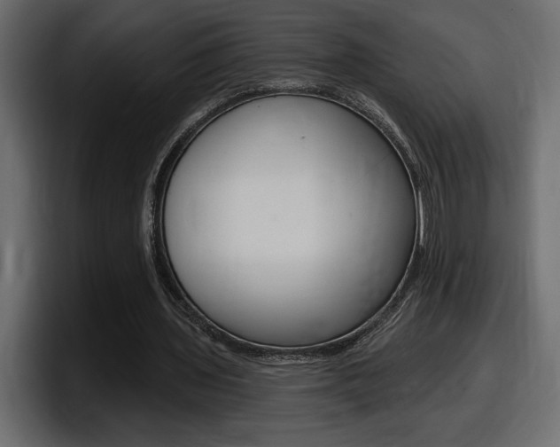 X0000098050435200803280733