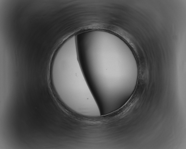 X0000098050437200803280733