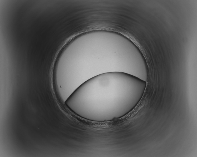 X0000098050438200803280733