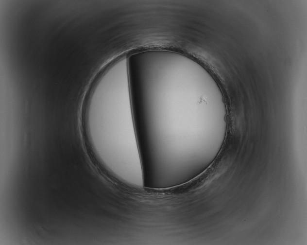 X0000098050439200803280733