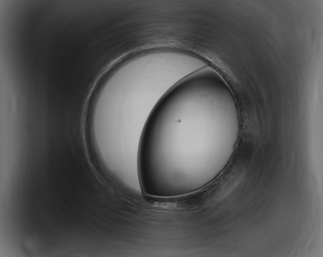 X0000098050440200803280733