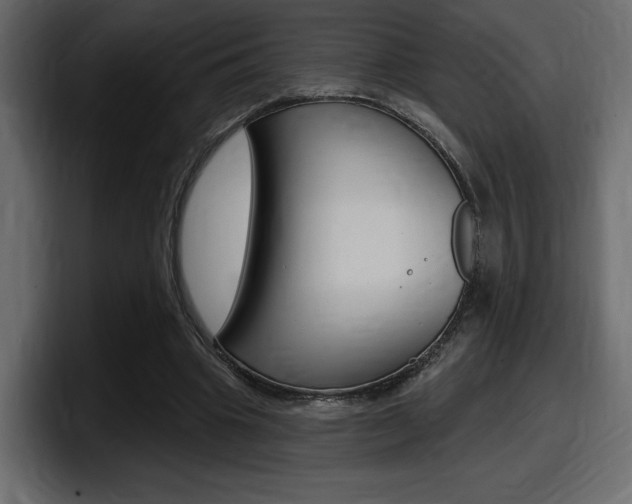 X0000098050441200803280733