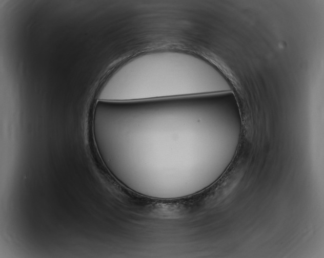 X0000098050442200803280733