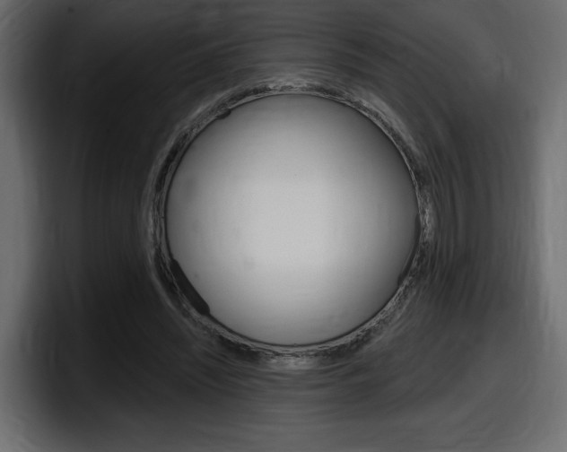 X0000098050444200803280733