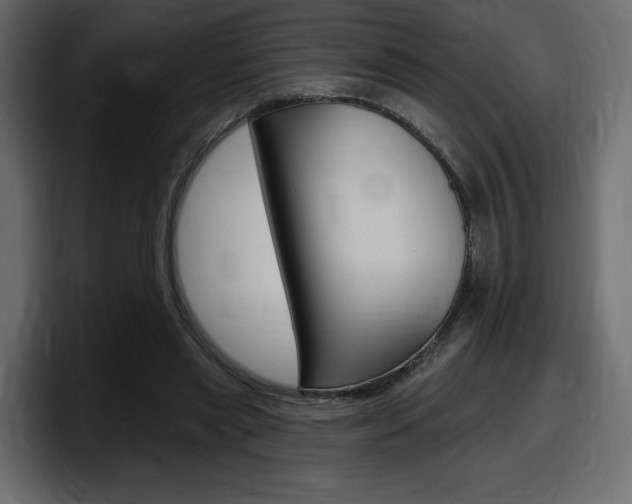 X0000098050445200803280733
